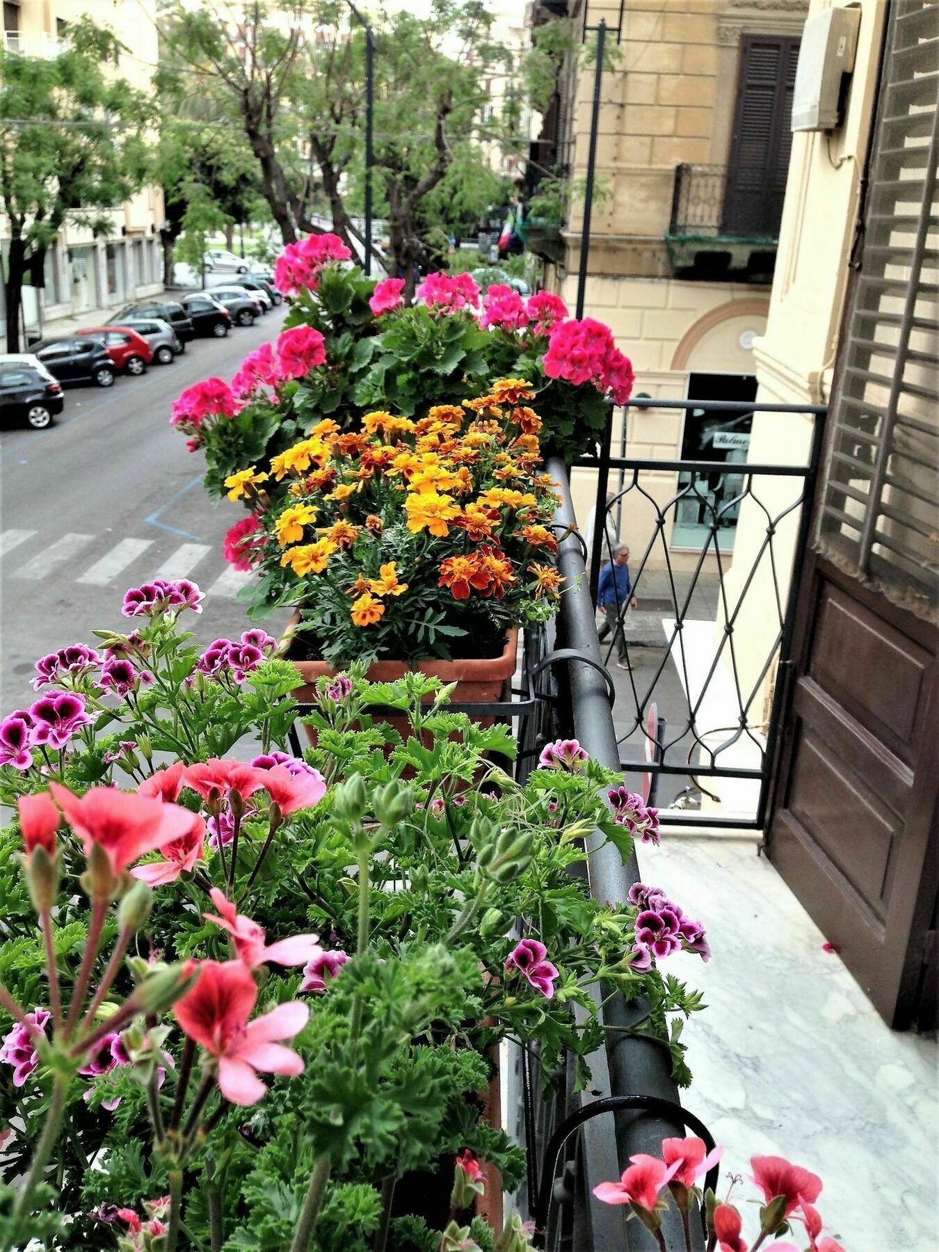 A Casa Di Amelie Holiday home *